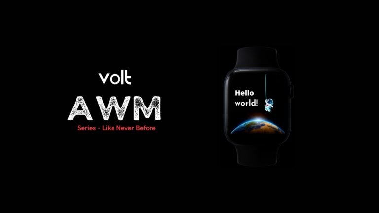 A success story of homegrown brand Voltlife.in