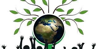 July 28 in India: Where Cultural Glory Meets Environmental Awareness