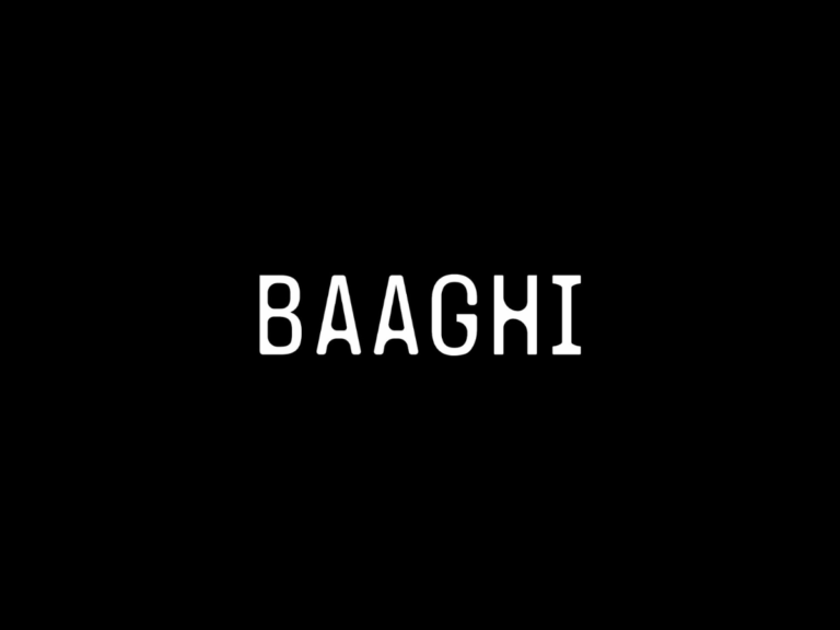 Baaghi Productions | Independent Indian Record Label & Music Collective